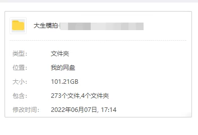 百度秒传 [大生模拍] 全站255套 101.21GB 资源合集整理下载 [255套-101.21GB]