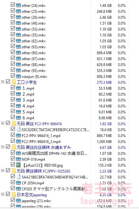 《重磅足控資源》353G要啥有啥 legsjapan,漫展 [>100v/p-353.1GB]