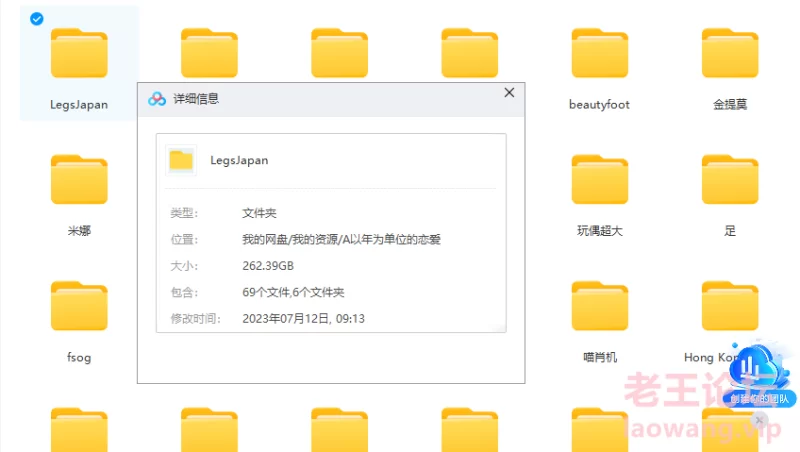 LegsJapan系列 [537V-263GB]