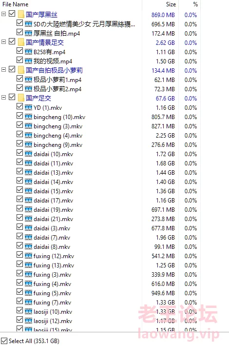 《重磅足控資源》353G要啥有啥 legsjapan,漫展 [>100v/p-353.1GB]