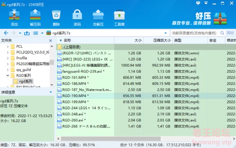 《足控必看》岛国RGD系列，足交丝袜裤袜长筒袜《13V+16G》》 [13V-16GB]