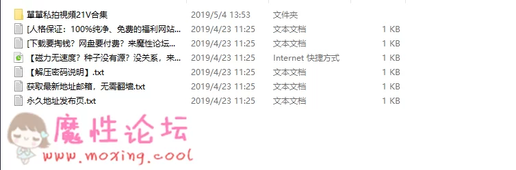 《自行打包》国模單單私拍視頻21V[21V/661MB]《百度盘》 [-]