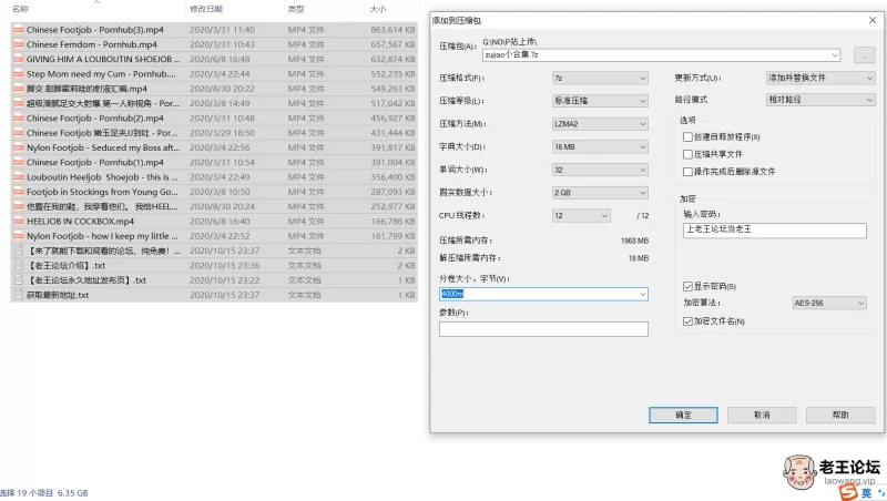 《自行打包》国产欧美足交视频15v6.3G [-]