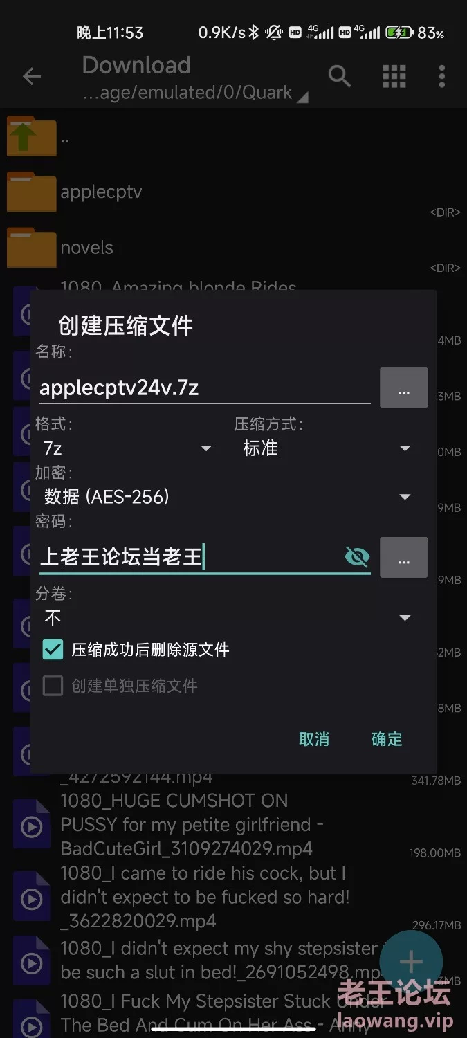 p站主打丝袜和高跟鞋的华人博主applecptv的视频合集 [24v-5.70GB全1080p]