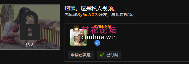 《自行打包》惊为天人的越南美女Kylie NG绝版视频合集《14v-5.5G》《百度盘》