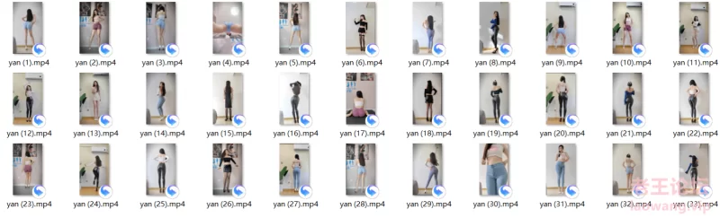 B站妍妹33v合集 [33v-4.8GB]