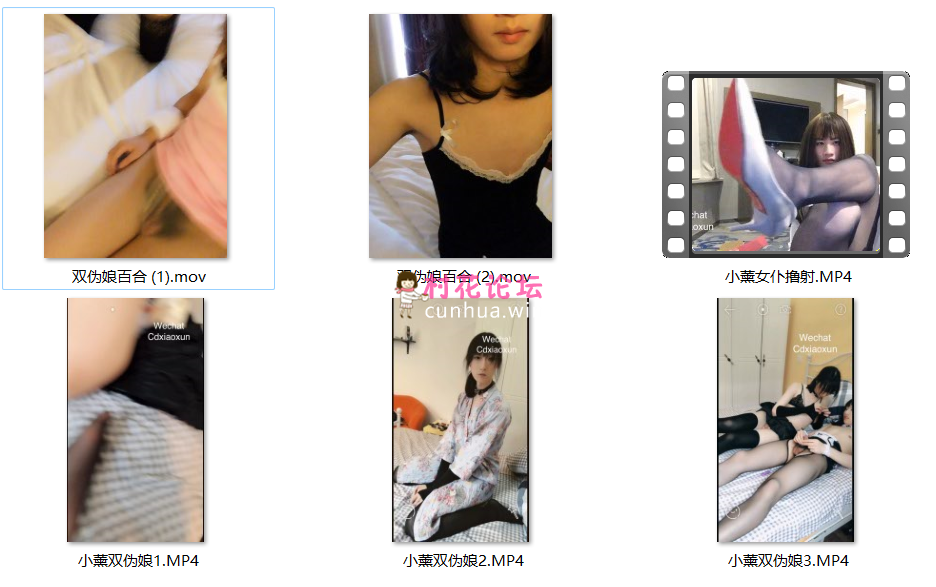 《自行打包》《国产-人妖-伪娘-CD-TS》小薰伪百合-丝袜自撸《6V-3.5GB》《度盘》