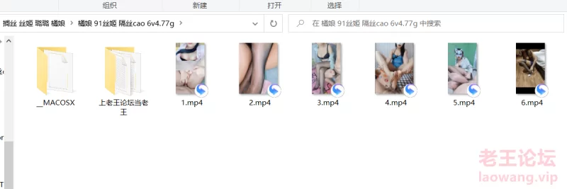 橘娘 91丝姬 6v [6v-4.77GB]