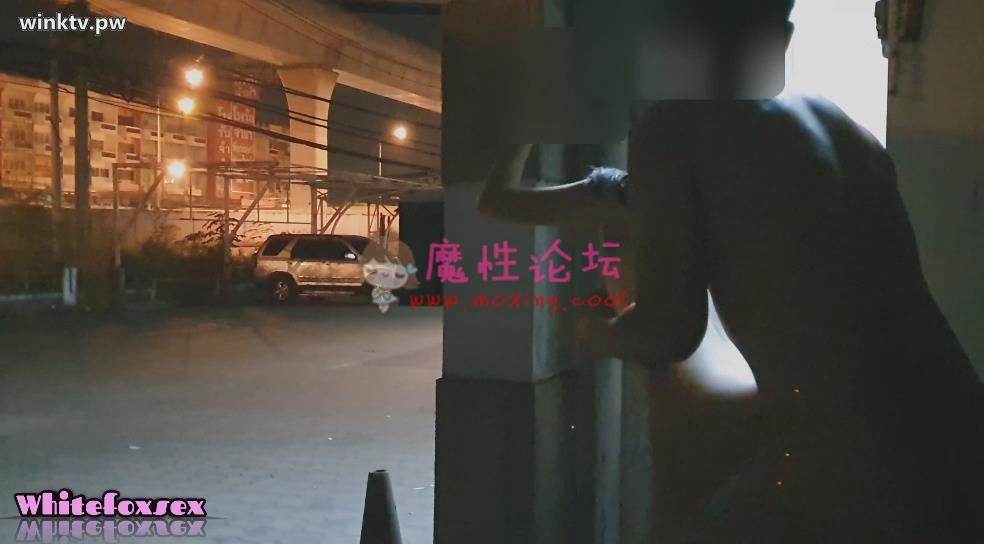 国产自拍泰国露 出夫妻whitefoxsex1-《13V4.09G》《百度云》