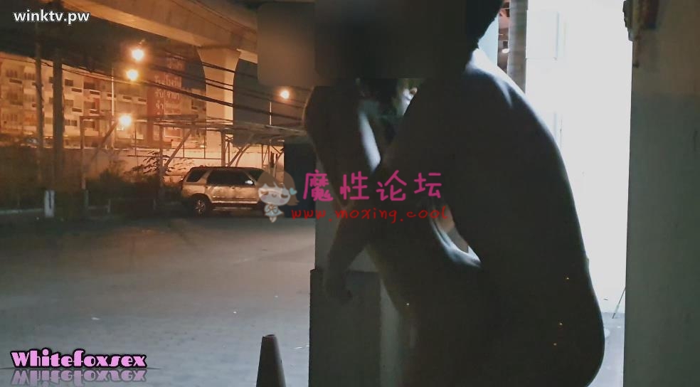 国产自拍泰国露 出夫妻whitefoxsex1-《13V4.09G》《百度云》