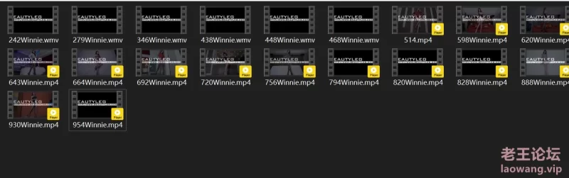Beautyleg Winnie 视频合集 [7v-26GB]
