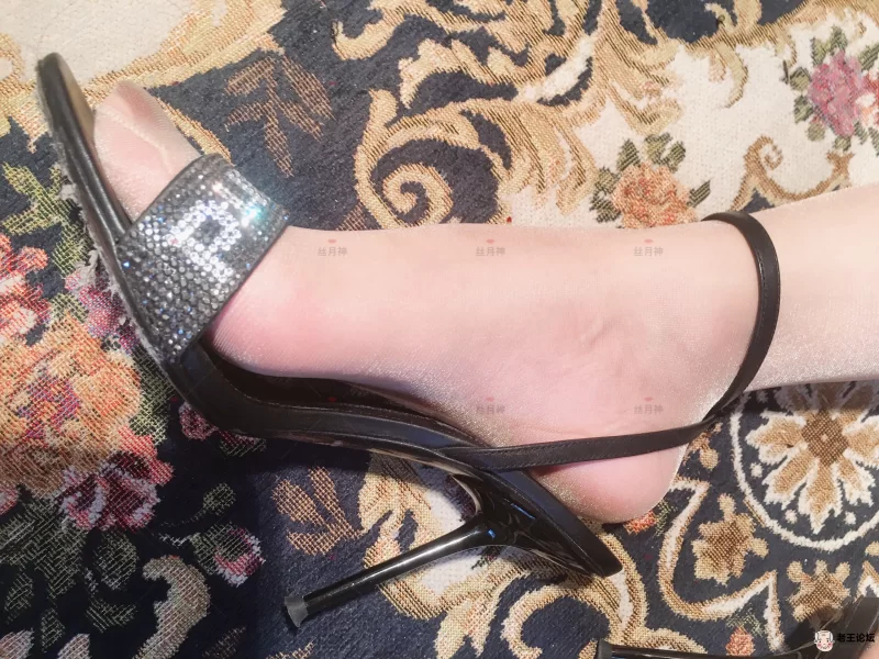 《自行打包》足控  丝月神全套合集 《2937p+12v - 4.6G》《度 [-]