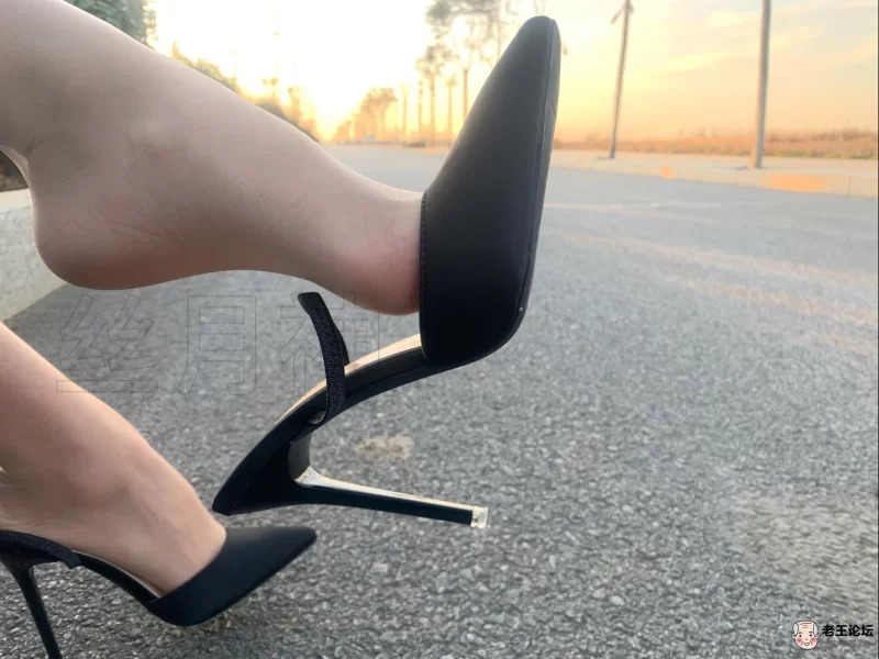 《自行打包》足控  丝月神全套合集 《2937p+12v - 4.6G》《度 [-]