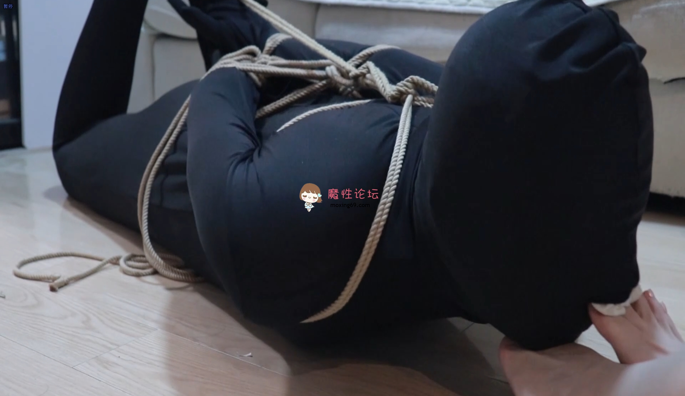 国产国产少女美足调教《82v+20G》百度网盘