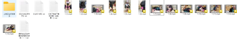 John Marston 街头霸王韩蛛俐 [13V-4.6GB]