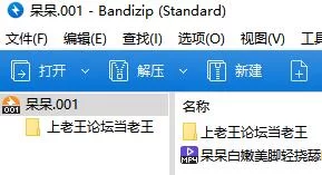 呆呆妹妹白嫩美脚轻挠舔脚录屏 [1v-1g]
