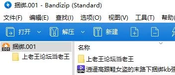 逍遥高跟鞋女盗的末路捆绑强制闻鞋十字架固定 [1v-220m]