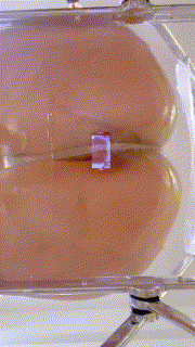 国产自拍《高价福利》微博128万粉，巨乳肥臀女神尤物《芷仪g宝》露脸定制69V，1对1露点自慰喷水，淫语挑逗 [11V 628.79MB][夸克]