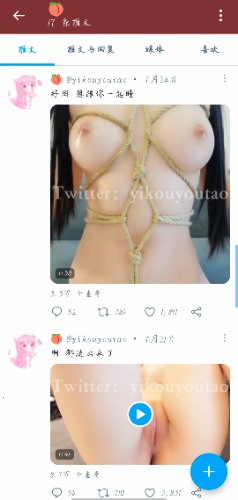 求助求萌白酱最新资源（新女仆 捆绑）