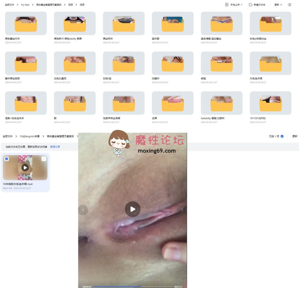 萝莉萌白酱 全集整理无重复版 《P+V=3713  40.4G》