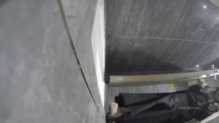 偷拍精品CP 画质完美  KTV小姐姐[某房原版1—14合集] KTV厕所后拍偷拍少妇 学生妹尿尿大号 《32v81g》