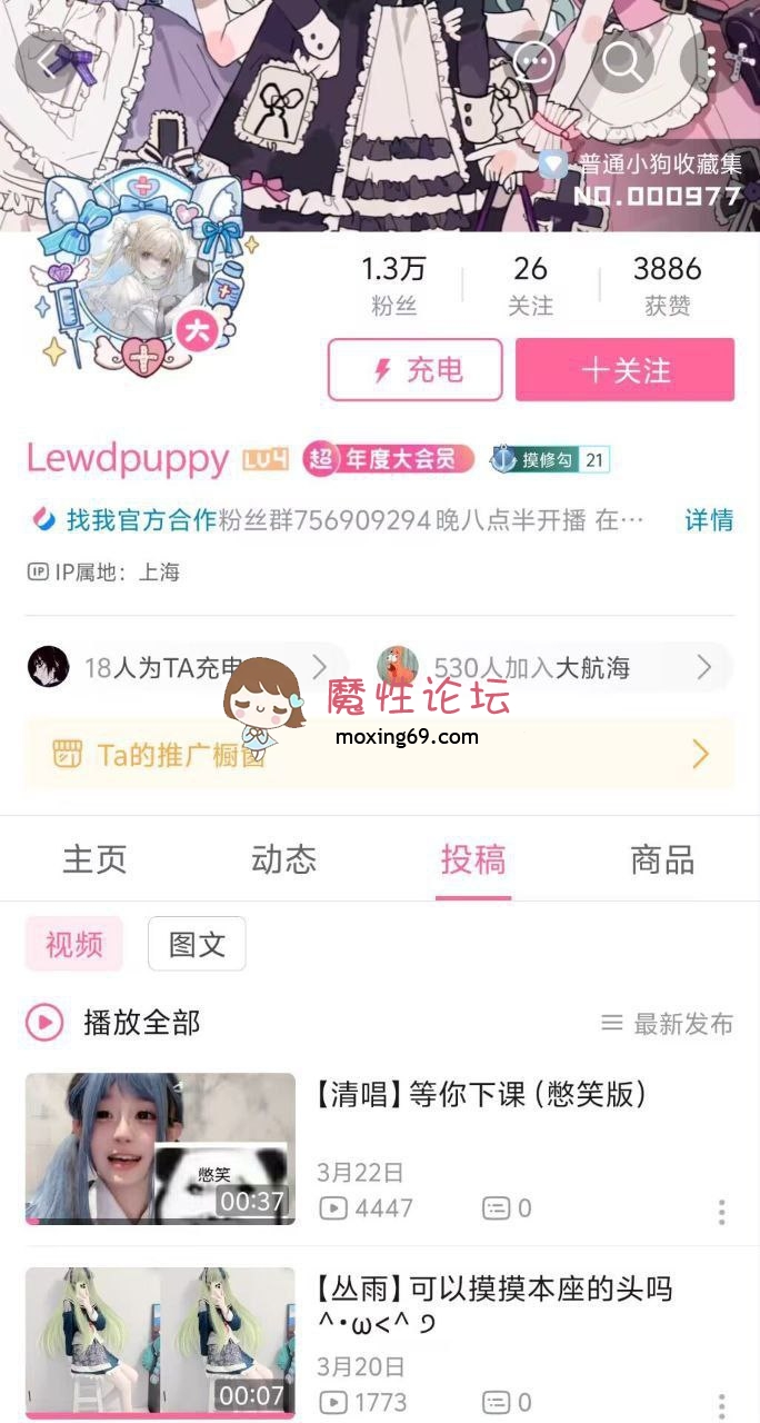 网红B站up主 lwedpuppy 舰长福利及二台录屏+Stripchat直播合集《69V18.6G》