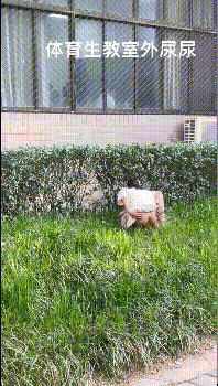 国产自拍小妹妹超强露出体验 超级大胆的小林跑去体育生教室窗口尿尿 真空出门新体验 超刺激户外露出[12V-268M][百度网盘]