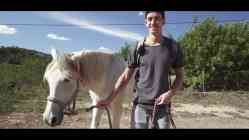 吃瓜门留学生与法国男友环球旅行一路操搞出白浆《1v557MB种子》