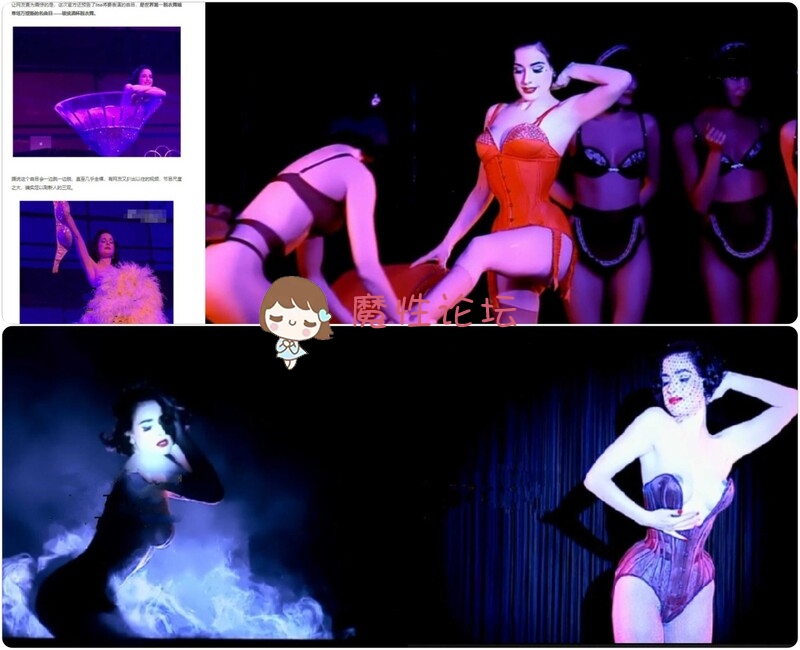 跳舞法国疯马秀 蒂塔万提斯2010 不是Lisa疯马秀 604M 磁力链接