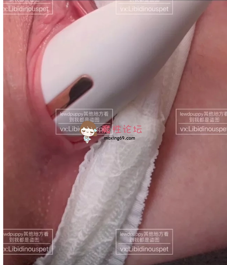 国产自拍Lwedpuppy@lewdpupp – B站up主顶级福利姬美女 高价资源 [2P6V+308MB][百度网盘]