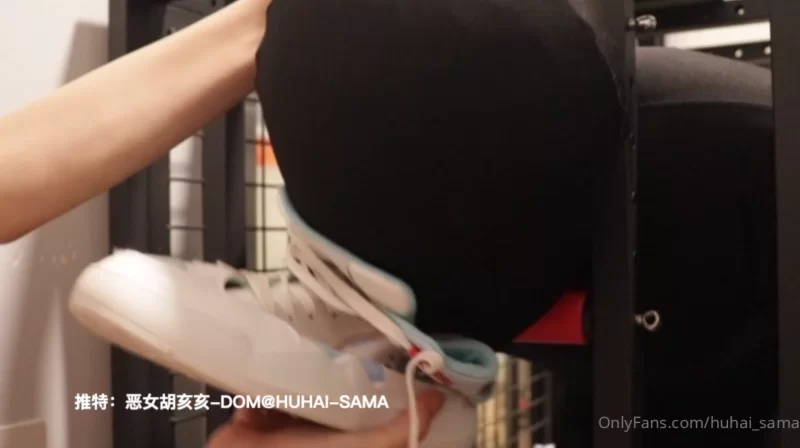 胡亥亥足控福利调教合集 [82V+906P-20GB]