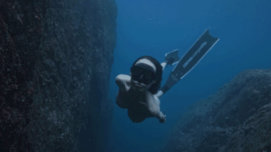 [度盘]三青叶子 – 新作 顶级摄影唯美写真 [515P-30V+3.65g][百度网盘]