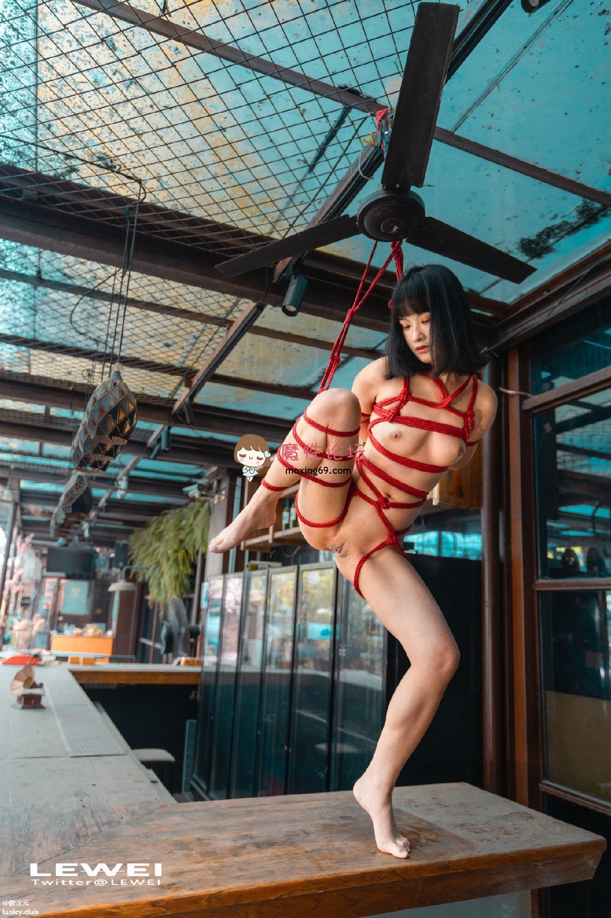 国产自拍三青叶子 – 新作 顶级摄影唯美写真 众多美女齐上阵 视频福利合集 [3.65G-30V+515P-夸克]