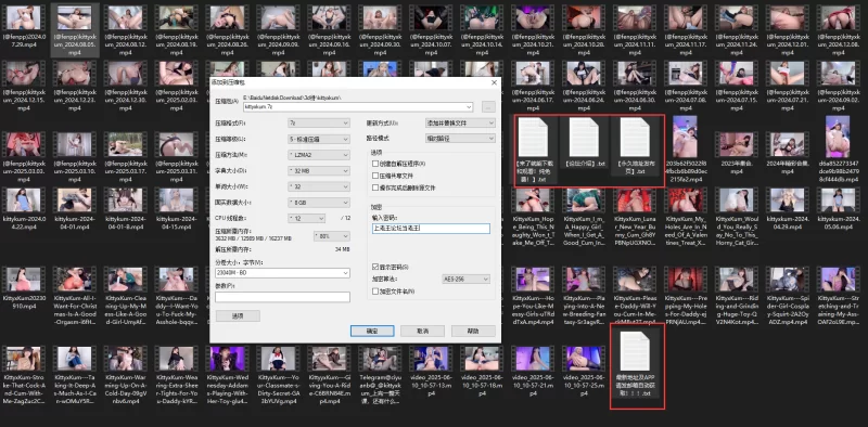 kittyxkum自慰喷水视频合集 [95V-61.7GB]