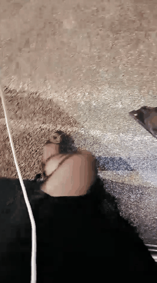 直播户外勾引啪啪《余君赴山海-回眸君犹在》超骚御姐办公室跳蛋 户外车上跳蛋，漏水《58V-46G》