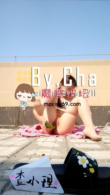 网红查小理 户外勾引路人 26.8g最新合集