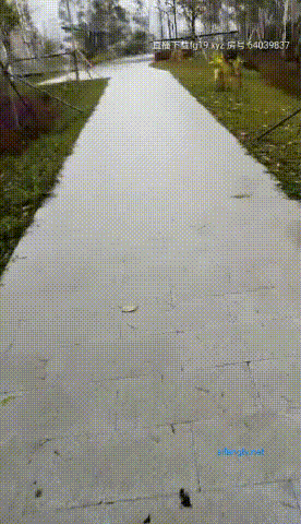 国产风骚少妇 双飞3p4P 口交骑乘位啪啪 《私密养生保健》 户外野战