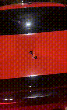 国产那些热爱户外露出的母狗舞蹈老师们