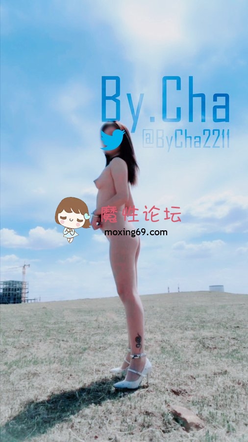 网红查小理 户外勾引路人 26.8g最新合集