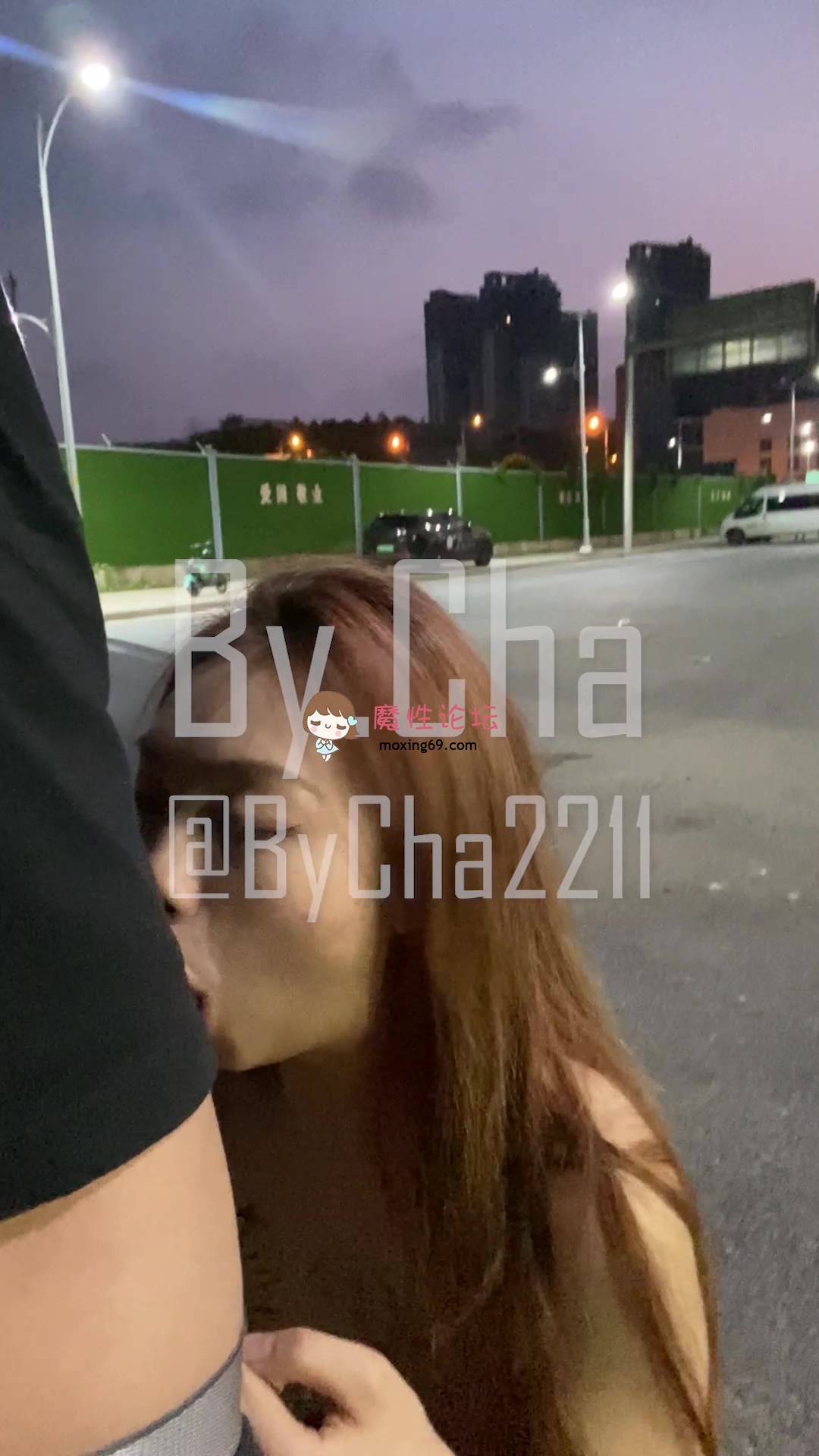 网红推特《查小理》一个月20W母狗户外露出找路人求艹