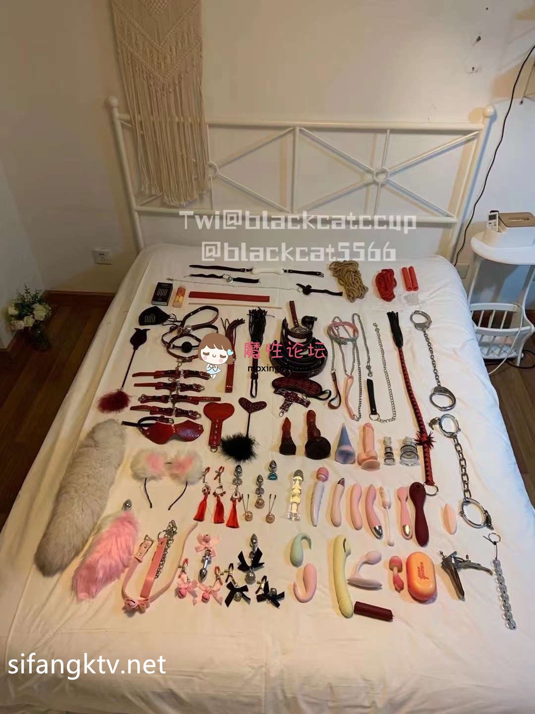 国产《黑猫露娜酱》清纯大眼短发女神，风骚裸舞，户外露出啪啪视频[原版+4K增强合集][152V860P28G][百度网盘]