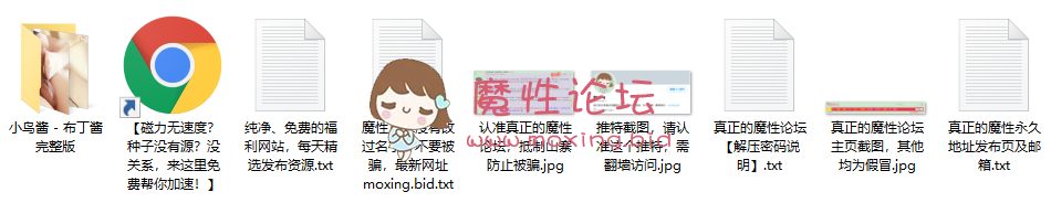 萝莉《自行打包》小鸟酱之布丁系列《239P-4V-2.02GB》《百度云》