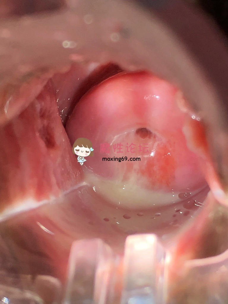 国产盘点那些打乳钉-乳环-阴环博主的骚货合集15.6G，新增柒柒77kimoji去重合集