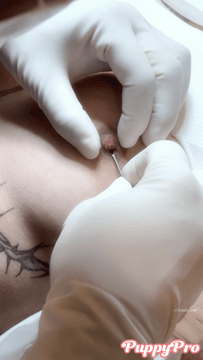 国产推特顶级福利姬 露脸裸舞小西西和活章鱼子宫调教小狗PRO 福利群完整全集