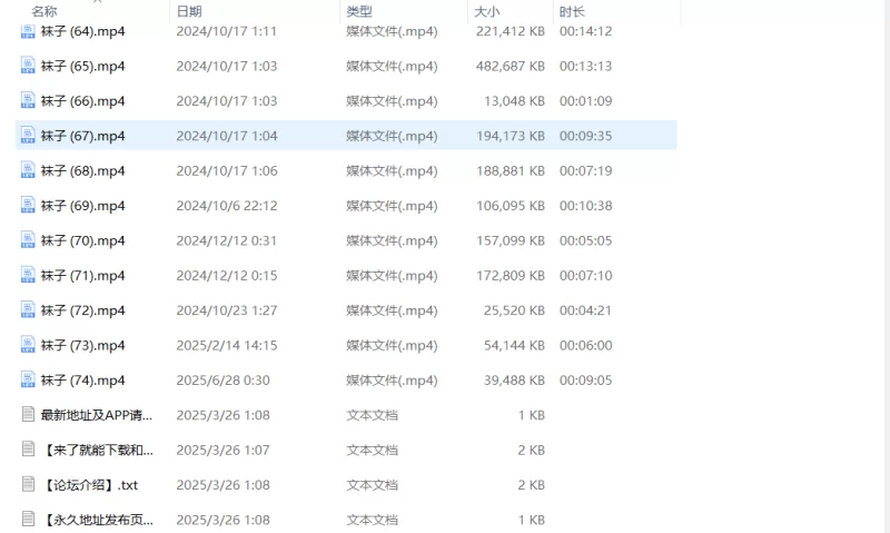 足控合集 [74v-11GB]