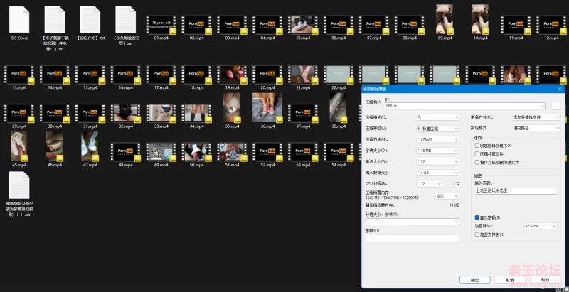 1币白嫖！极品鞋交，足交。有帆布鞋、高跟鞋、运动鞋 [60v-8.58GB]