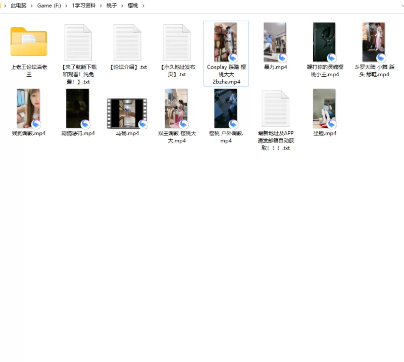 樱桃小主系列！气质女S，抖M福音，玩法多样！ [10V,4本-2.7GB]