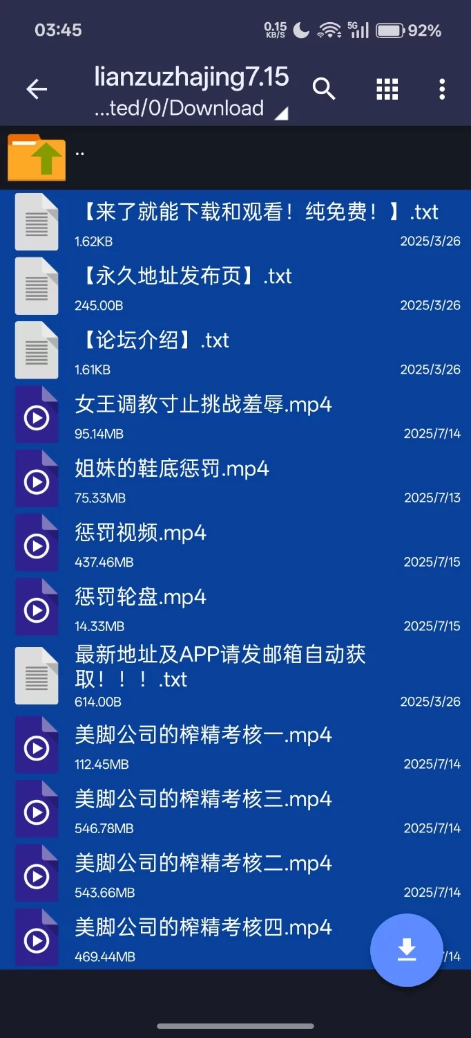 美脚公司的榨精考核合集/足控/恋足/寸止 [8v-2.24GB]