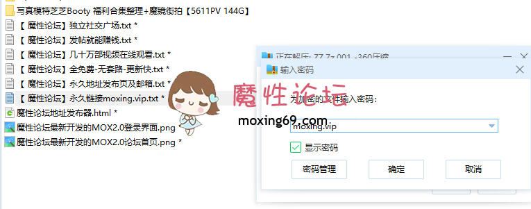网红写真模特芝芝Booty 尺度福利合集整理+魔镜街拍《5611PV 144G》