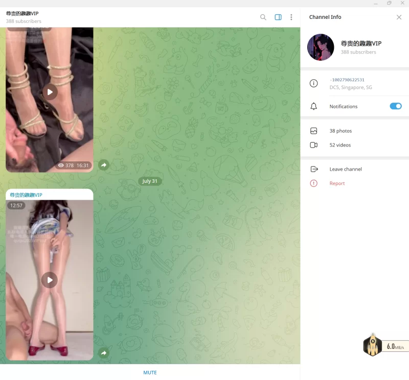 趣趣（猫猫碎冰冰）7月31号最新作 telegram自购 无多余水印 [1v-284MB]